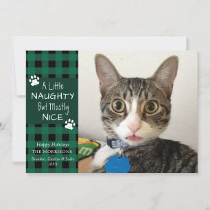 Cartão De Festividades Gato de Estimação Travesso e Bonzinho Xadrez Verde