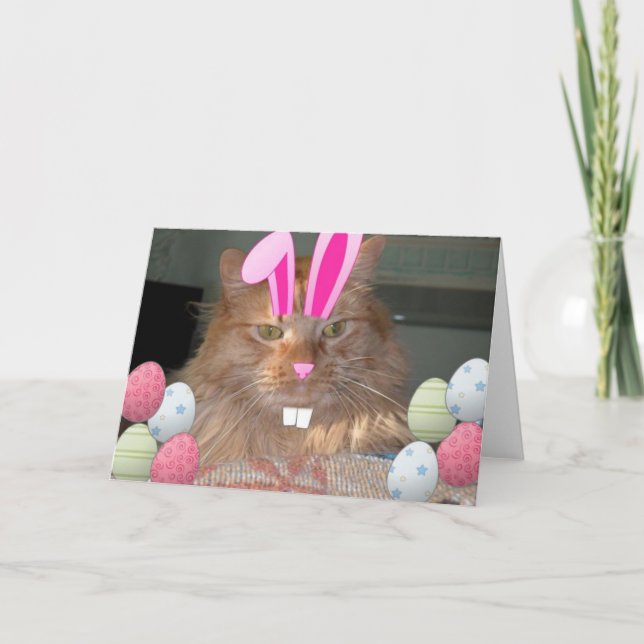 Cartão De Festividades Gato de Gatinho Páscoa Laranja (Frente)