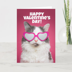 Cartão De Festividades Gato de Gato de Gota do feliz dia de os namorados