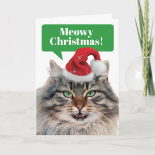 Cartão De Festividades Gato de Maine Coon - Feliz Natal Feliz Ano Mastiga