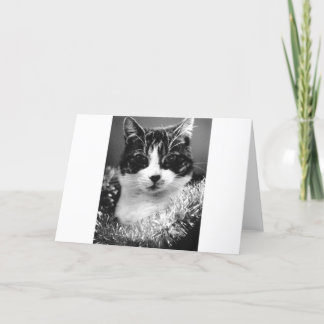 Cartão De Festividades Gato de Natal