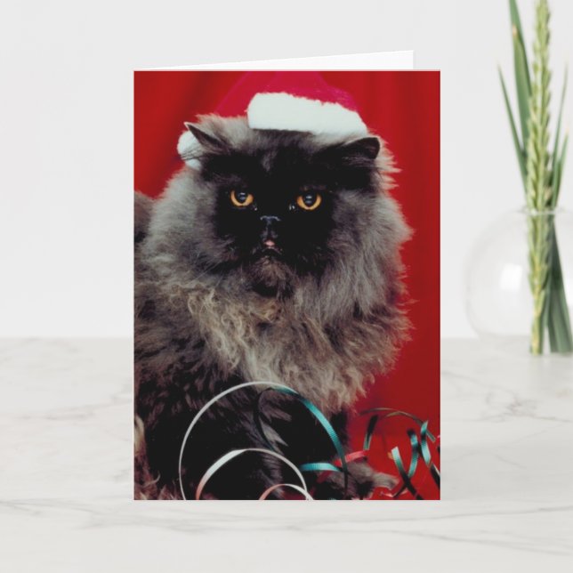 Cartão De Festividades Gato de Natal (Frente)