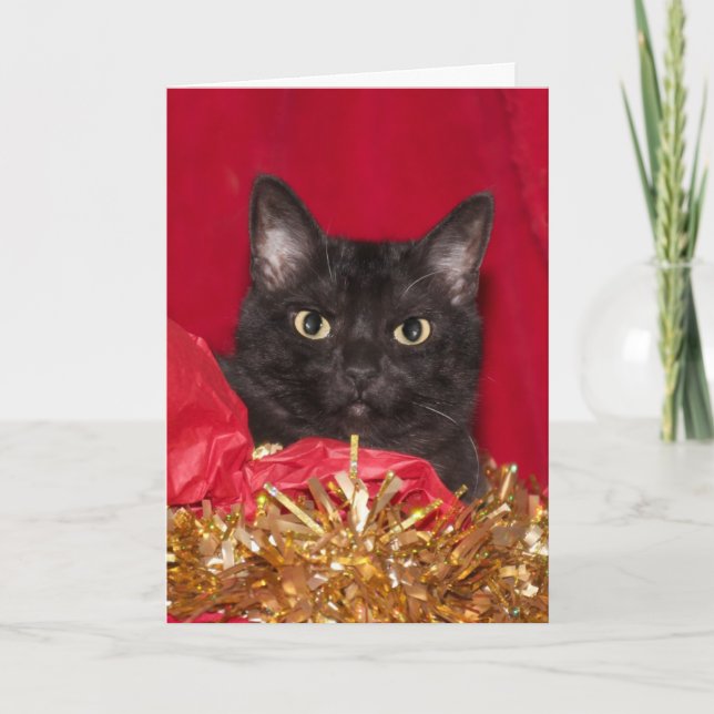 Cartão De Festividades Gato de Natal preto (Frente)
