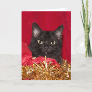 Cartão De Festividades Gato de Natal preto