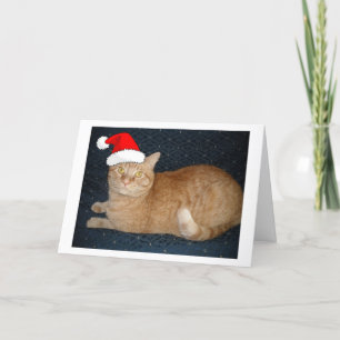 Cartão De Festividades Gato de Tabby Laranja Natal
