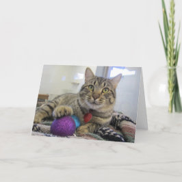 Cartão De Festividades Gato do Natal de Meowy