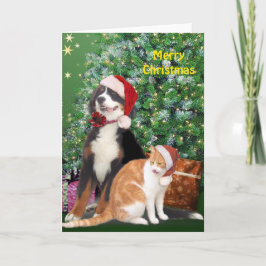Cartão De Festividades Gato e Cachorro com Papai Noel