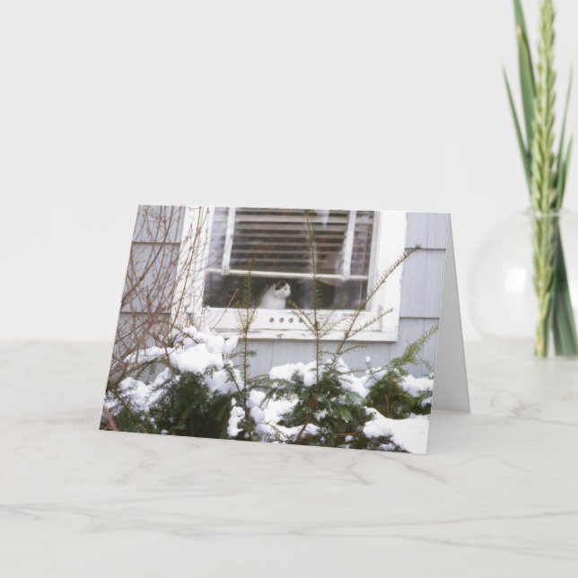 Cartão De Festividades Gato em preto bonito & no branco do Natal da (Frente)