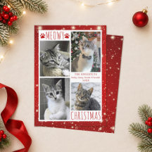 Gato Engraçado 4 Colagem de Fotos FELIZ NATAL MEOW