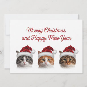 Cartão De Festividades Gato engraçado de Natal miando vestido com chapéu