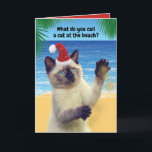 Cartão De Festividades Gato Engraçado De "Sandy Claw" No Natal Da Praia<br><div class="desc">Como se chama um gato na praia? Sandy Claw! Ho! Ho! Ho! Cartão engraçado para amantes de gatos,  bem como para amantes de bobos. Quem pode resistir a esse gato siamês vestindo um chapéu de Papai Noel?</div>