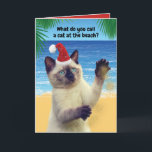 Cartão De Festividades Gato Engraçado De "Sandy Claw" No Natal Da Praia<br><div class="desc">Como se chama um gato na praia? Sandy Claw! Ho! Ho! Ho! Cartão engraçado para amantes de gatos,  bem como para amantes de bobos. Quem pode resistir a esse gato siamês vestindo um chapéu de Papai Noel?</div>