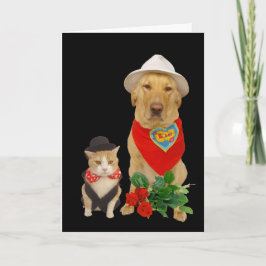 Cartão De Festividades Gato Engraçado e Namorados Cachorro/Laboratório