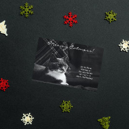 Cartão De Festividades Gato Engraçado Meowy Desordem Natal