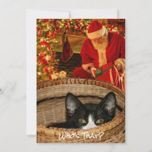 Cartão De Festividades Gato Engraçado no Natal Feriado de Papais noeis de