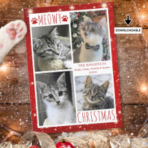 Gato Engraçado Vermelho MEOWY NATAL 4 Fotos