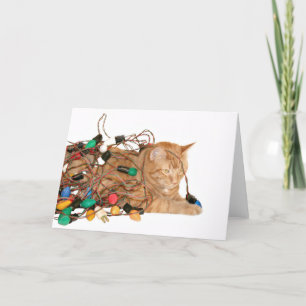 Cartão De Festividades Gato enrolado em luzes de Natal