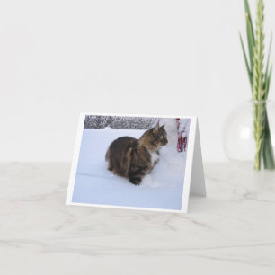 Cartão De Festividades gato floresta norueguesa na neve