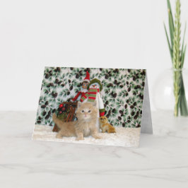 Cartão De Festividades Gato, Gatinho, Natal, Resgate, Foto