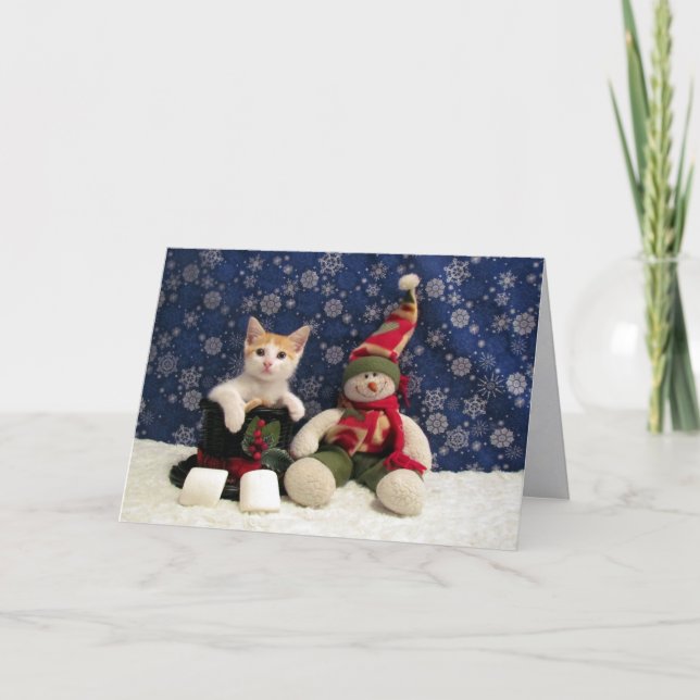 Cartão De Festividades Gato, Gatinho, Natal, Resgate, Foto (Frente)