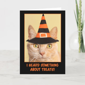 Cartão De Festividades Gato Laranja Abobado Feliz Halloween Bruxa
