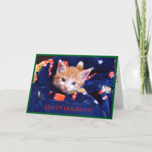 Cartão De Festividades Gato Laranja com Cobertor Azul