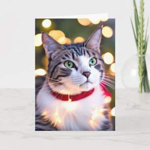 Cartão De Festividades Gato Listrado Em Luzes De Feriado