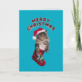 Cartão De Festividades Gato Maine Coon Fofo de Natal 