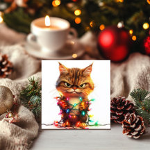 Gato Mal-Humorado Festivo Resignado