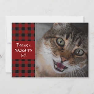 Cartão De Festividades Gato Malandro ou Bonzinho Xmas Plaid Vermelho MEOW