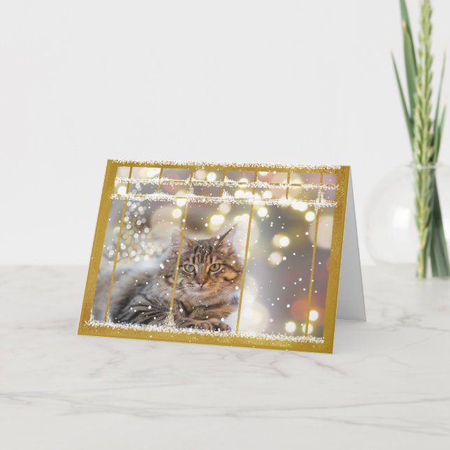 Cartão De Festividades Gato na janela de Natal Dourado e White Card (Frente)