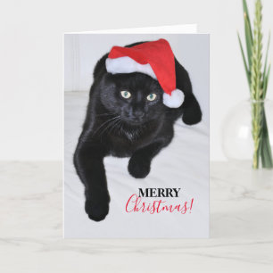 Cartão De Festividades Gato Negro com Chapéu Vermelho do Pai Natal
