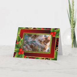Cartão De Festividades Gato no Natal - fundo do feriado
