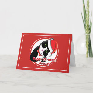 Cartão De Festividades Gato Papai Noel
