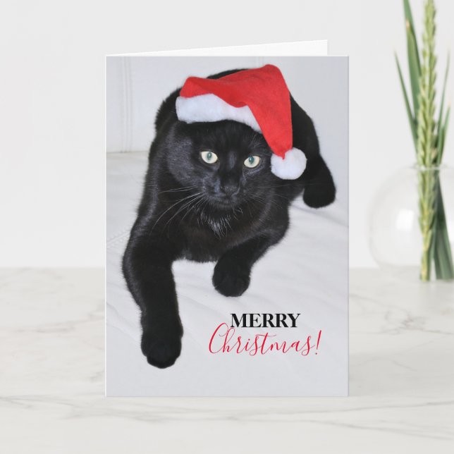 Cartão De Festividades Gato Preto com o Chapéu Vermelho de Papai Noel (Frente)