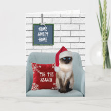 Gato Siamês de Natal em uma Cadeira