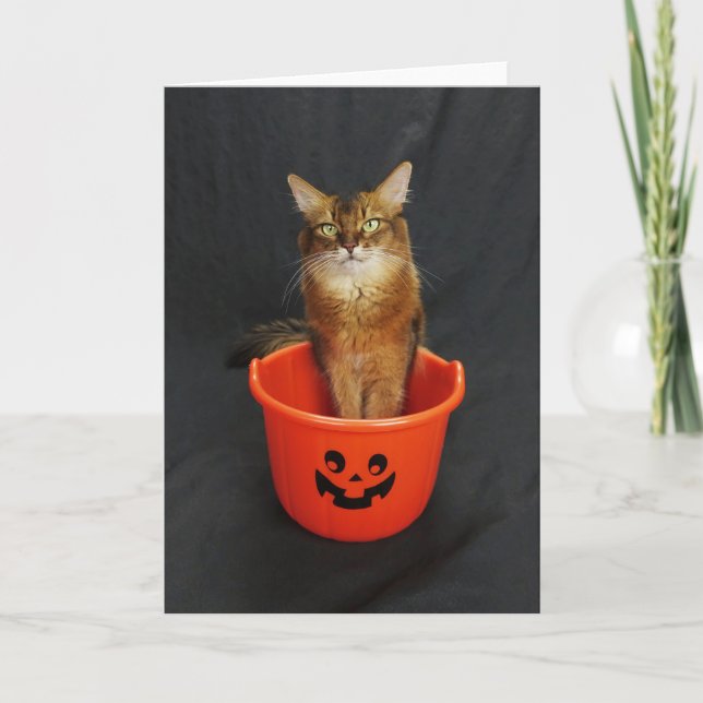 Cartão De Festividades Gato Somali do Halloween com Balde de Truque ou Tr (Frente)