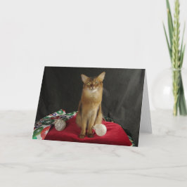 Cartão De Festividades Gato somaliano do feriado, caracterizando a samba