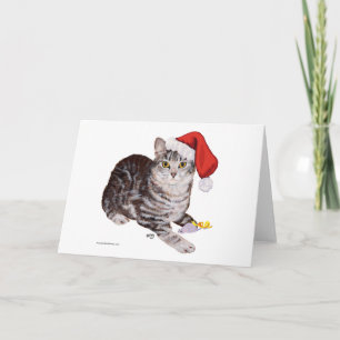 Cartão De Festividades Gato Tabby American Shorthair - Natal