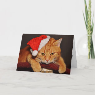 Cartão De Festividades Gato Tabby Laranja com um Chapéu de Papai Noel