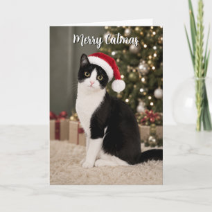 Cartão De Festividades Gato Tuxedo Natal Chapéu do Papai Noel Engraçado C