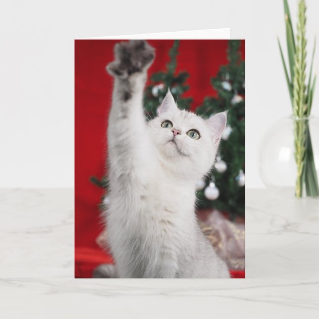 Cartão De Festividades Gato XMAS Branco (Frente)
