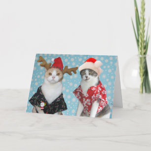 Cartão De Festividades Gatos de Natal Engraçados Personalizáveis