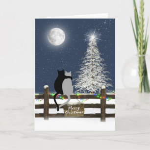 Cartão De Festividades Gatos de Natal na Cerca