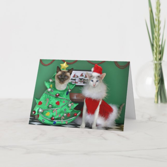 Cartão De Festividades Gatos do Natal (Frente)