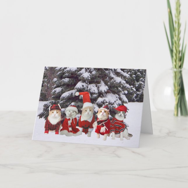 Cartão De Festividades Gatos engraçados do gatinho do Natal (Frente)