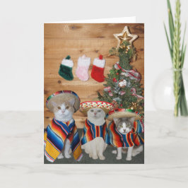 Cartão De Festividades Gatos/gatinhos engraçados Feliz Navidad
