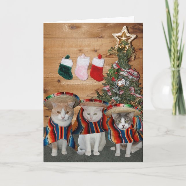 Cartão De Festividades Gatos/Gatinhos Engraçados Feliz Navidad (Frente)