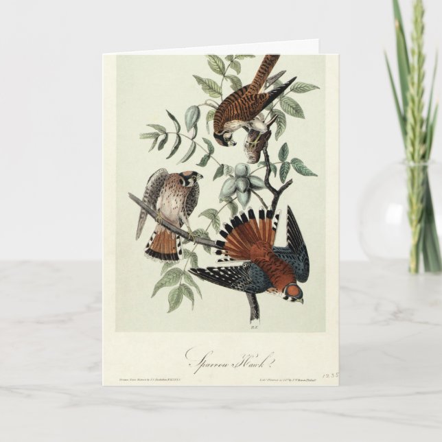 Cartão De Festividades Gaviões (Frente)