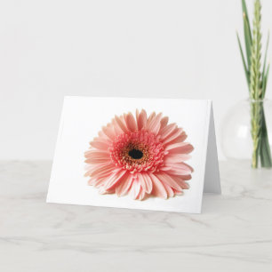 Cartão De Festividades Gerbera